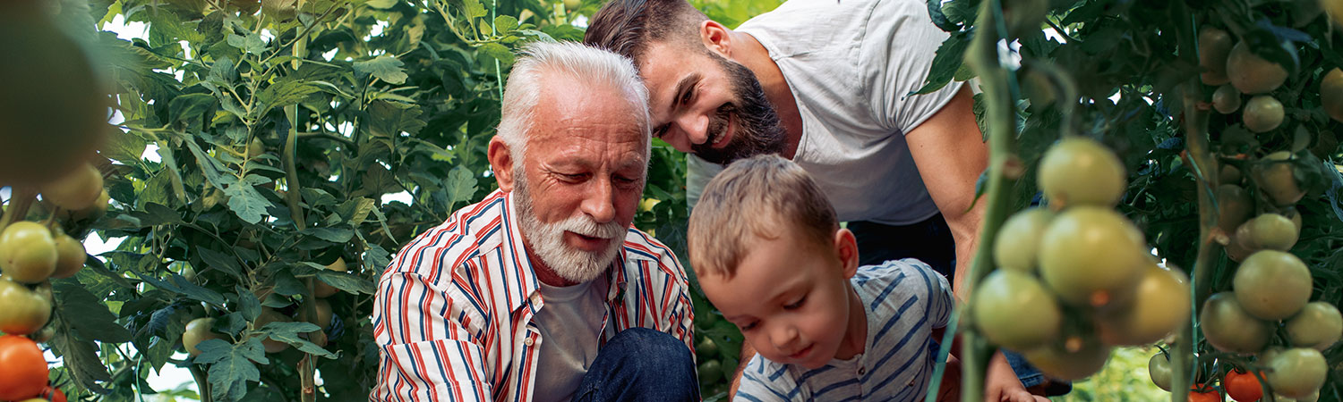 Michigan Life Insurance Coverage