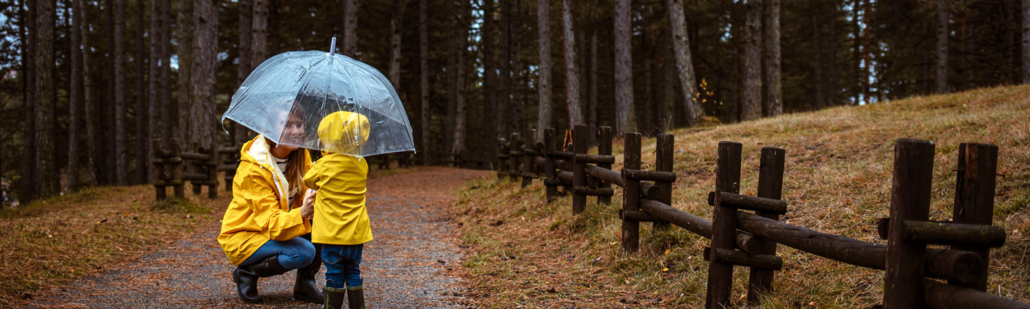 Michigan Umbrella Insurance Coverage